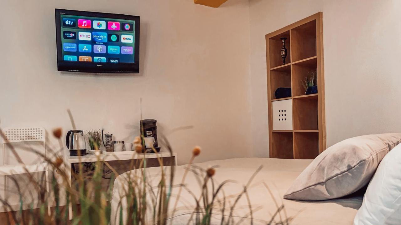 Villa Herkules - Privates Apartment Am Waldrand Mit Smart Tv Und Kostenlosen Parkplaetzen Kassel Dış mekan fotoğraf
